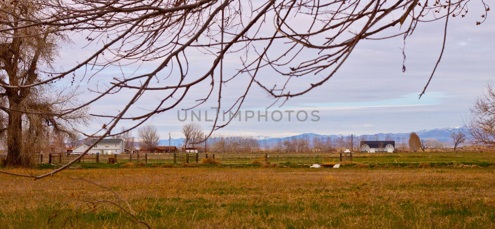 Winter is coming, the yellow dying grass on the field glows with gold.  Another succesful harvest on this farm.