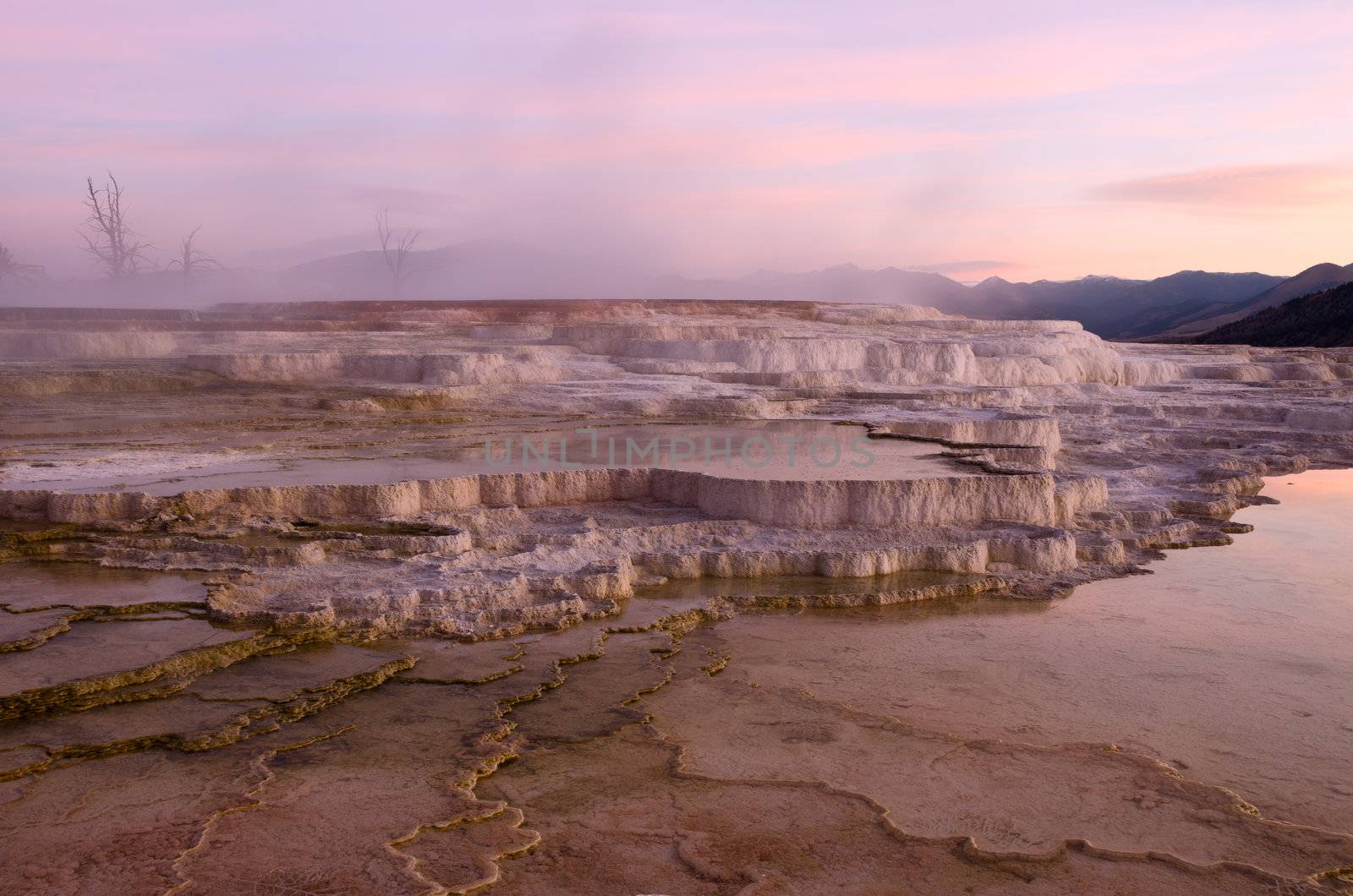 Travertine terraces of Mammoth Hot Springs at sunrise, Yellowstone National Park, Wyoming, USA