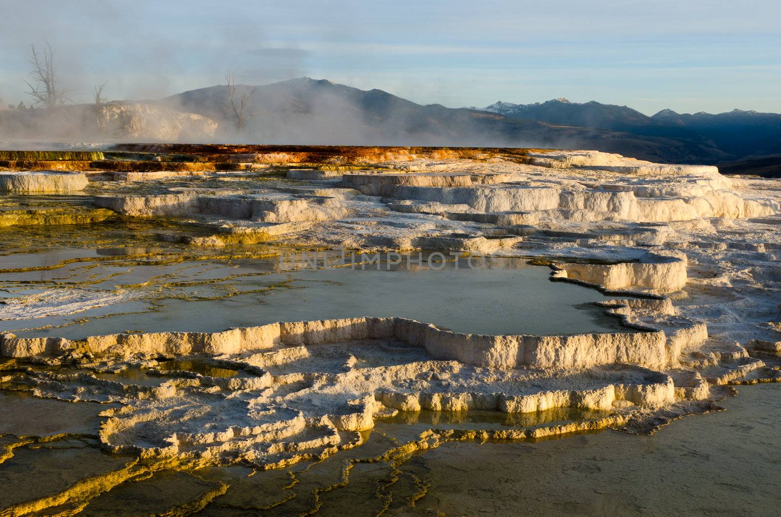 Travertine terraces of Mammoth Hot Springs at sunrise, Yellowstone National Park, Wyoming, USA by CharlesBolin