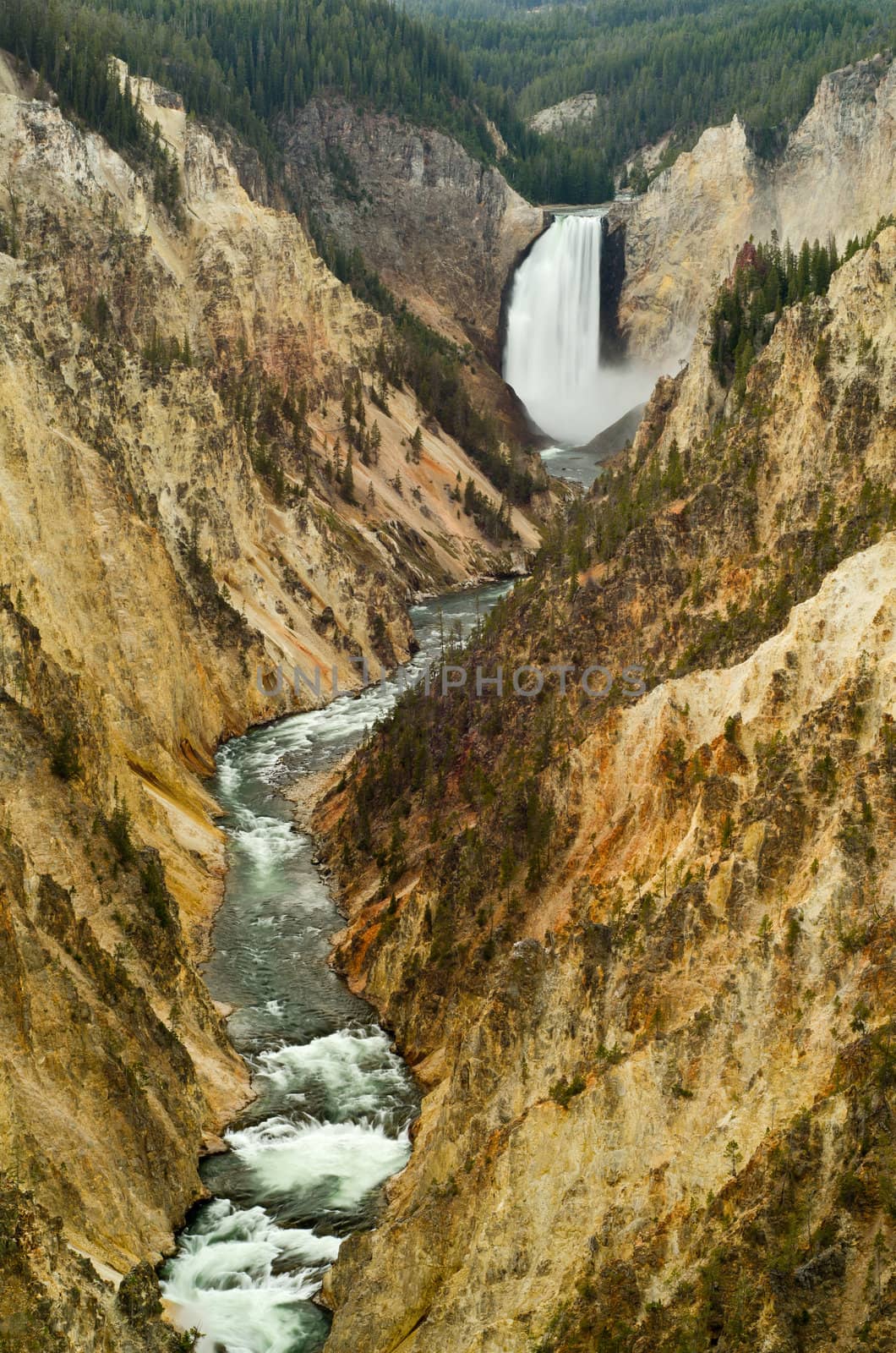 Yellowstone Falls and the Grand Canyon of the Yellowstone River, Yellowstone National Park, Wyoming, USA by CharlesBolin