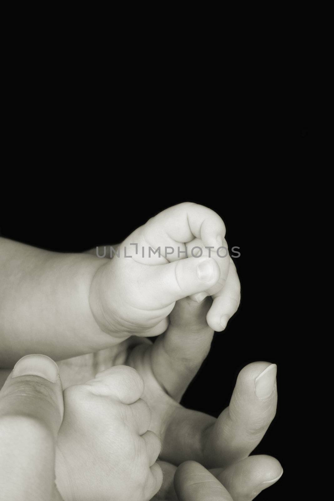 Hands of caucasian mother and baby, baby holding mother's finger