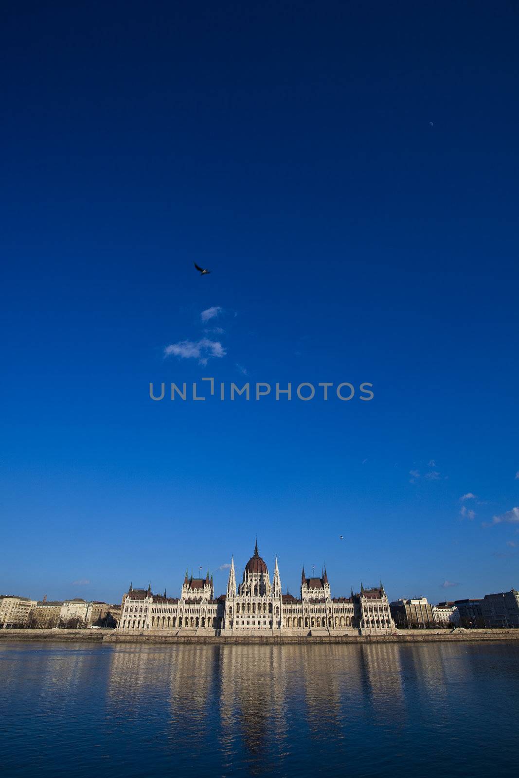 Budapest, Hungaryan Parliament, Hungary by adamr