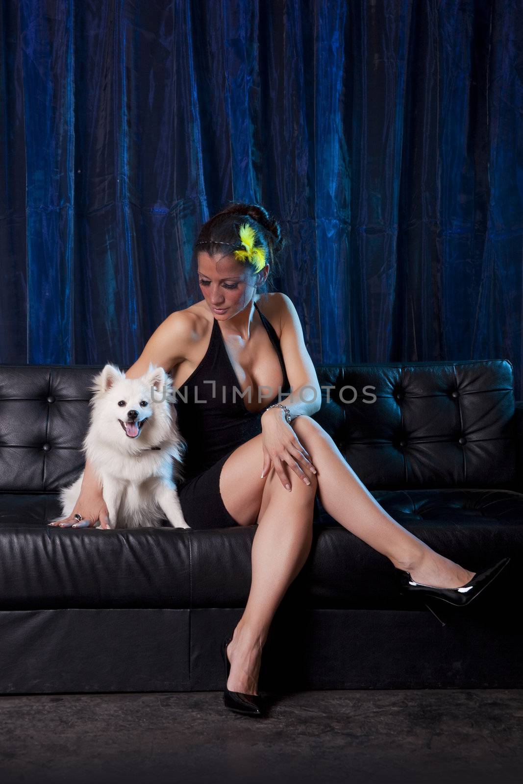 Sexy Widow woman in black dress holding and looking on white dog by adamr