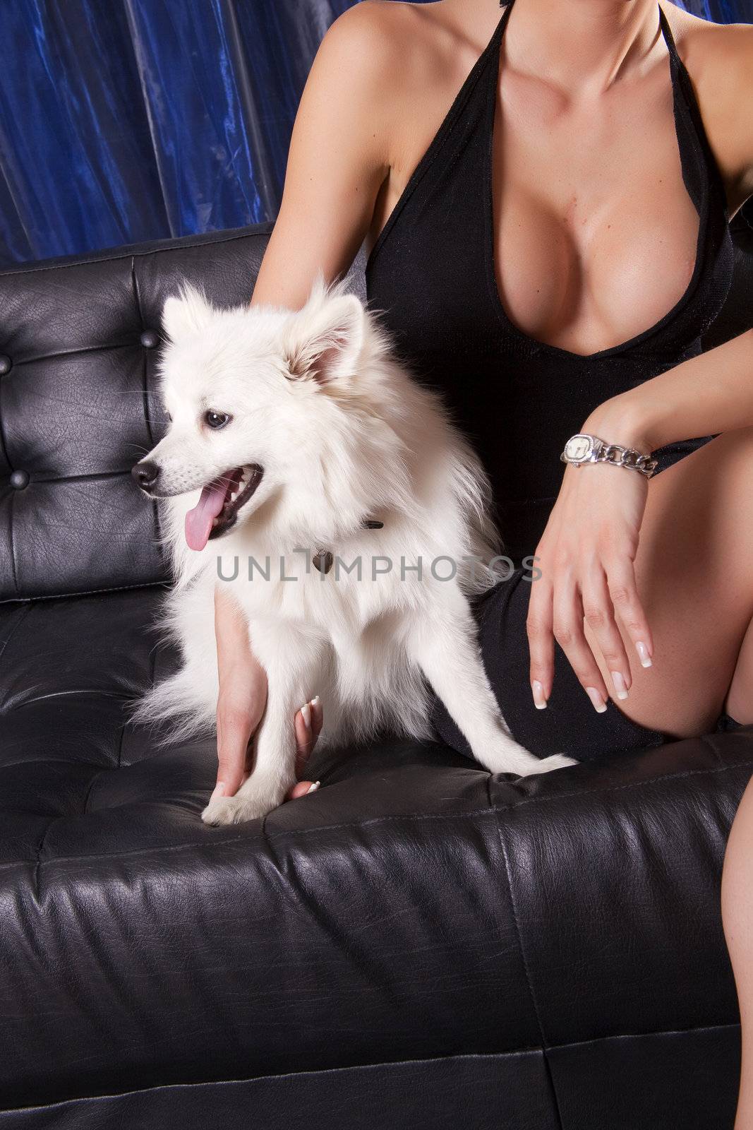 White dog and woman in black dress