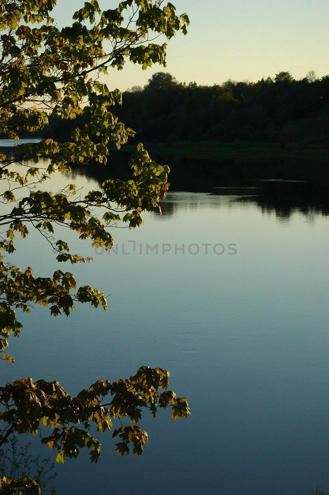 View on the river Volkhov. by SURZ