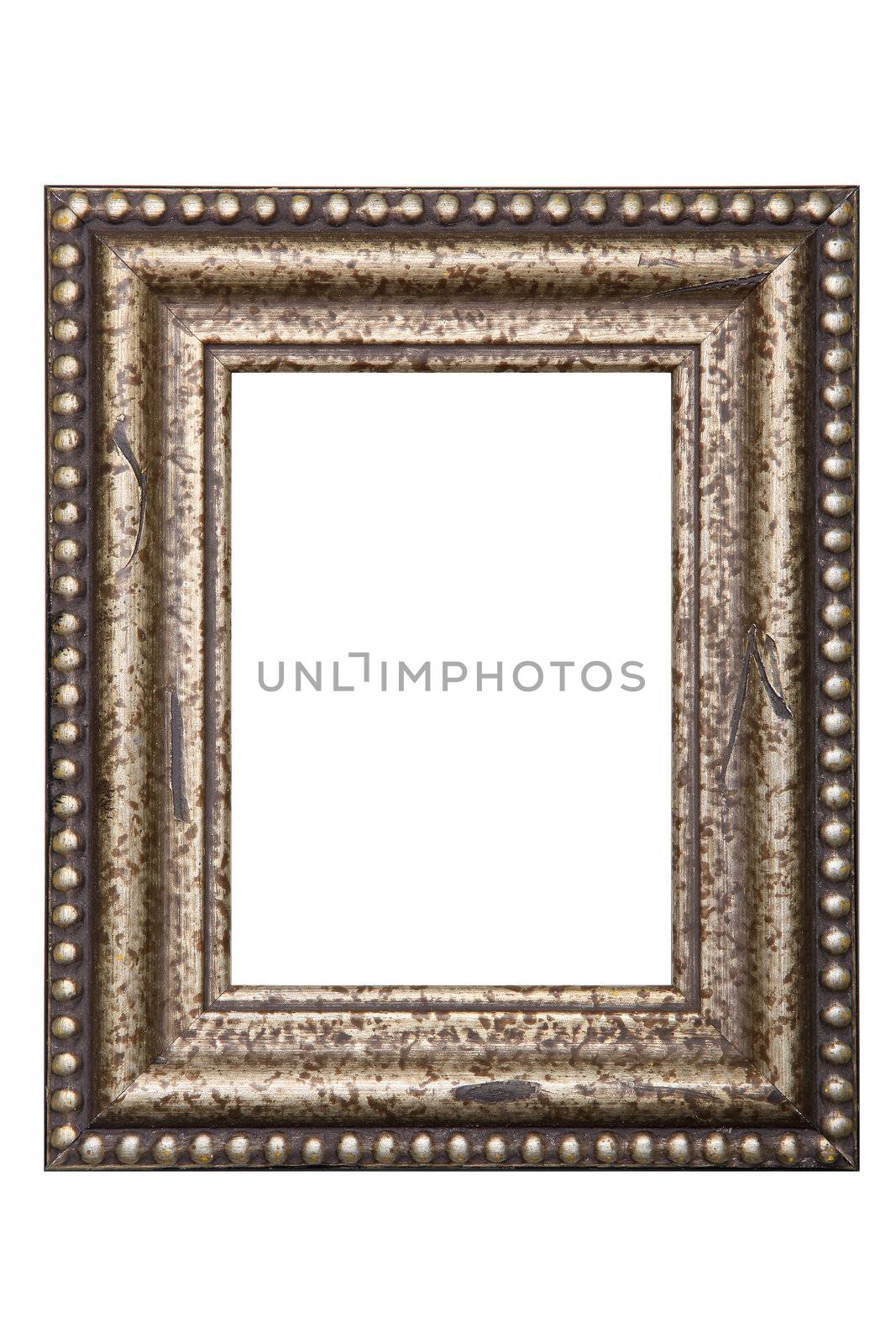 Picture Frame by adamr