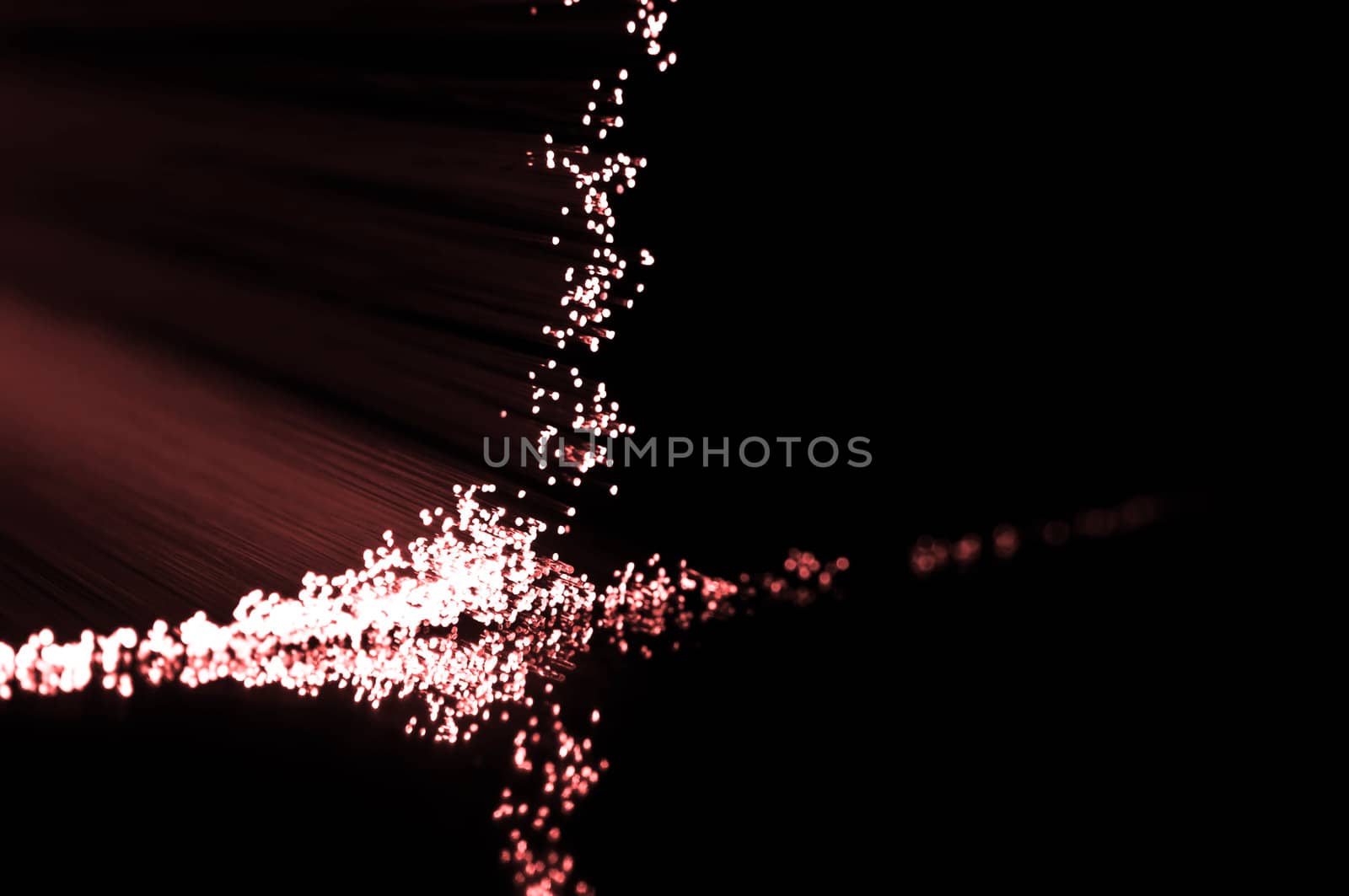 Close up on the ends of red fibre optic light strands reflecting on black.