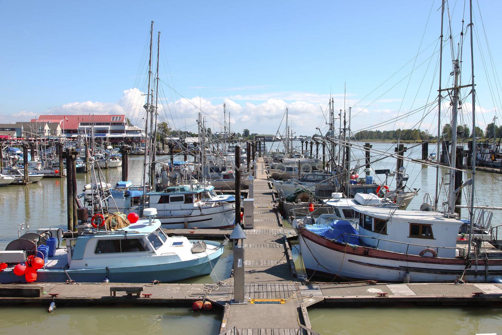 A large number of fishing boats moored in the marina in Richmond BC Canada.