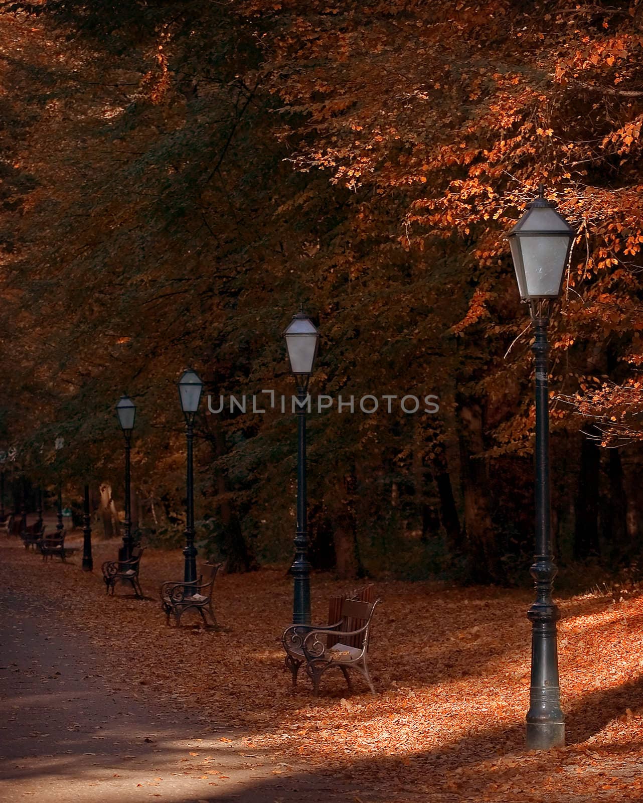 Autumn in the park , row of lamps and benches under the trees on a sunny afternoon