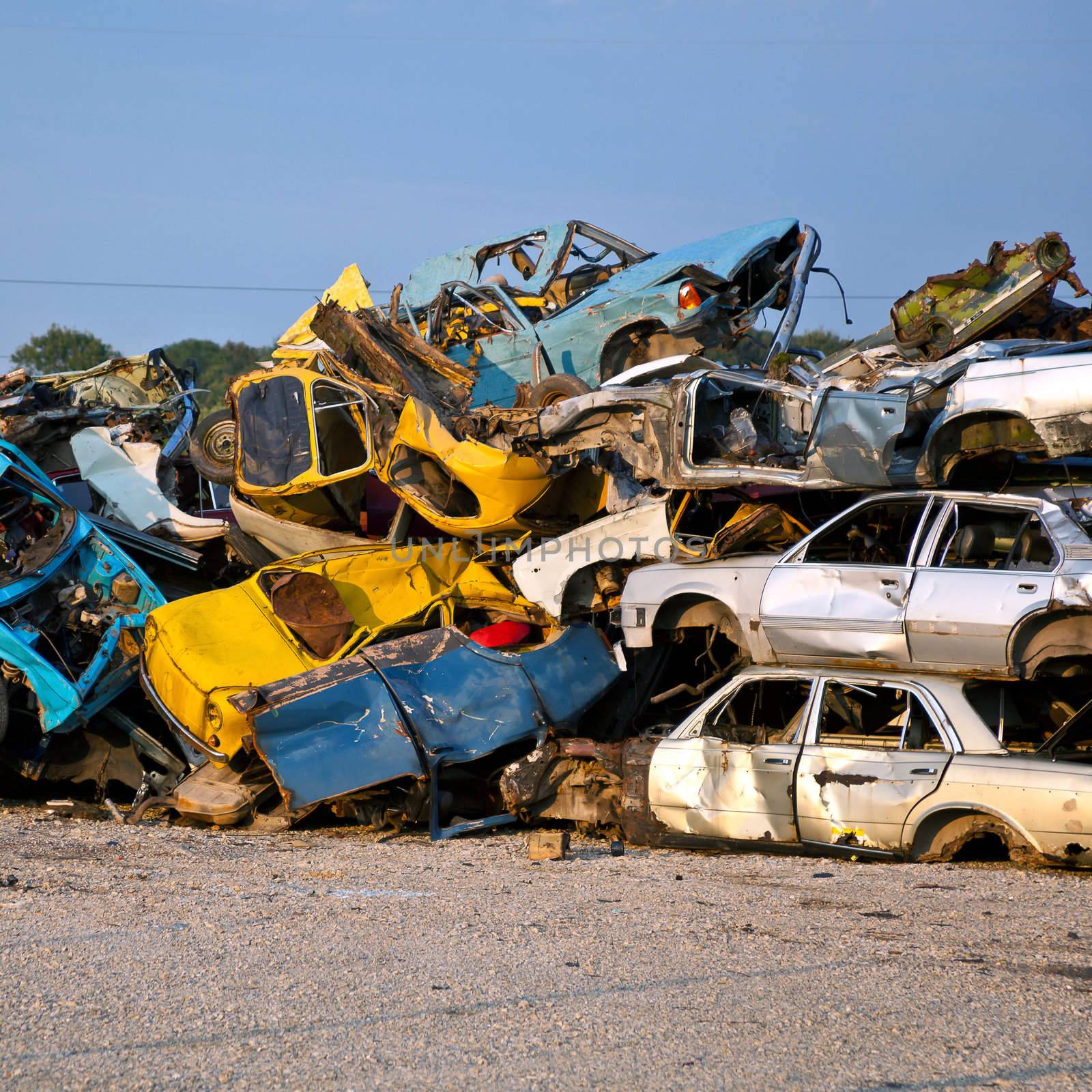 Junk Cars On Junkyard by adamr