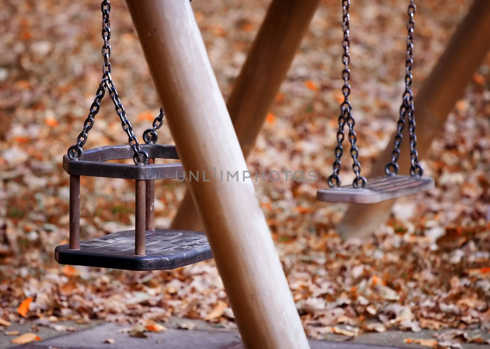Wooden swing in the park with two different seats