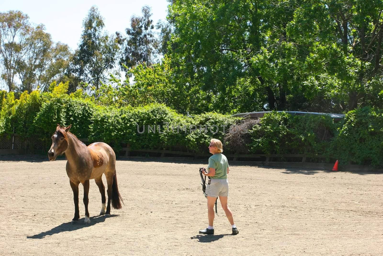 Scenic Horseback Riding just 20 minutes from downtown San Jose in the Saratoga foothills.. Come enjoy a guided horseback ride through Cooper-Garrod Vineyards and the Fremont-Older Mid-Peninsula Open Space Preserve on the eastern slopes of the Santa Cruz Mountains