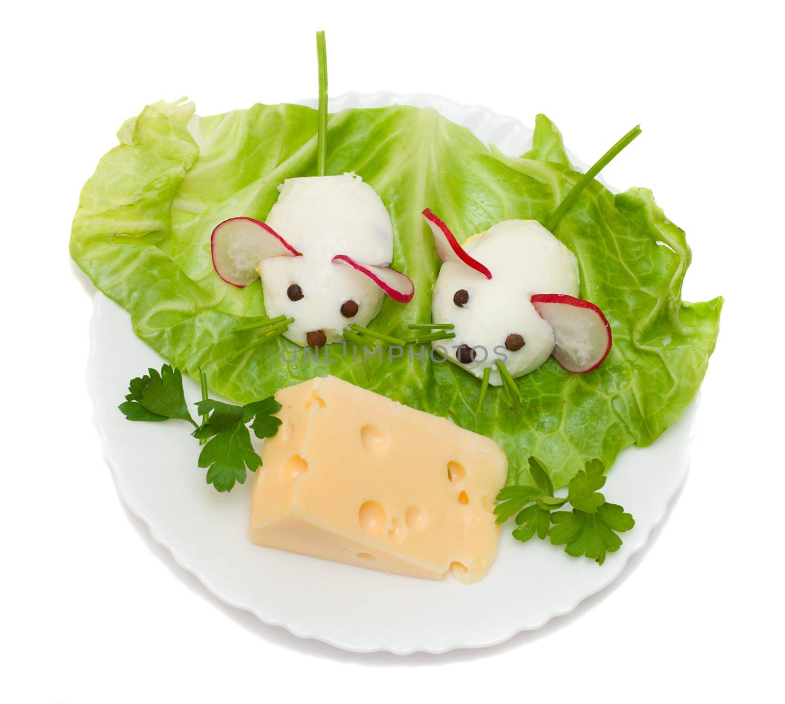 mouse and cheese by Alekcey