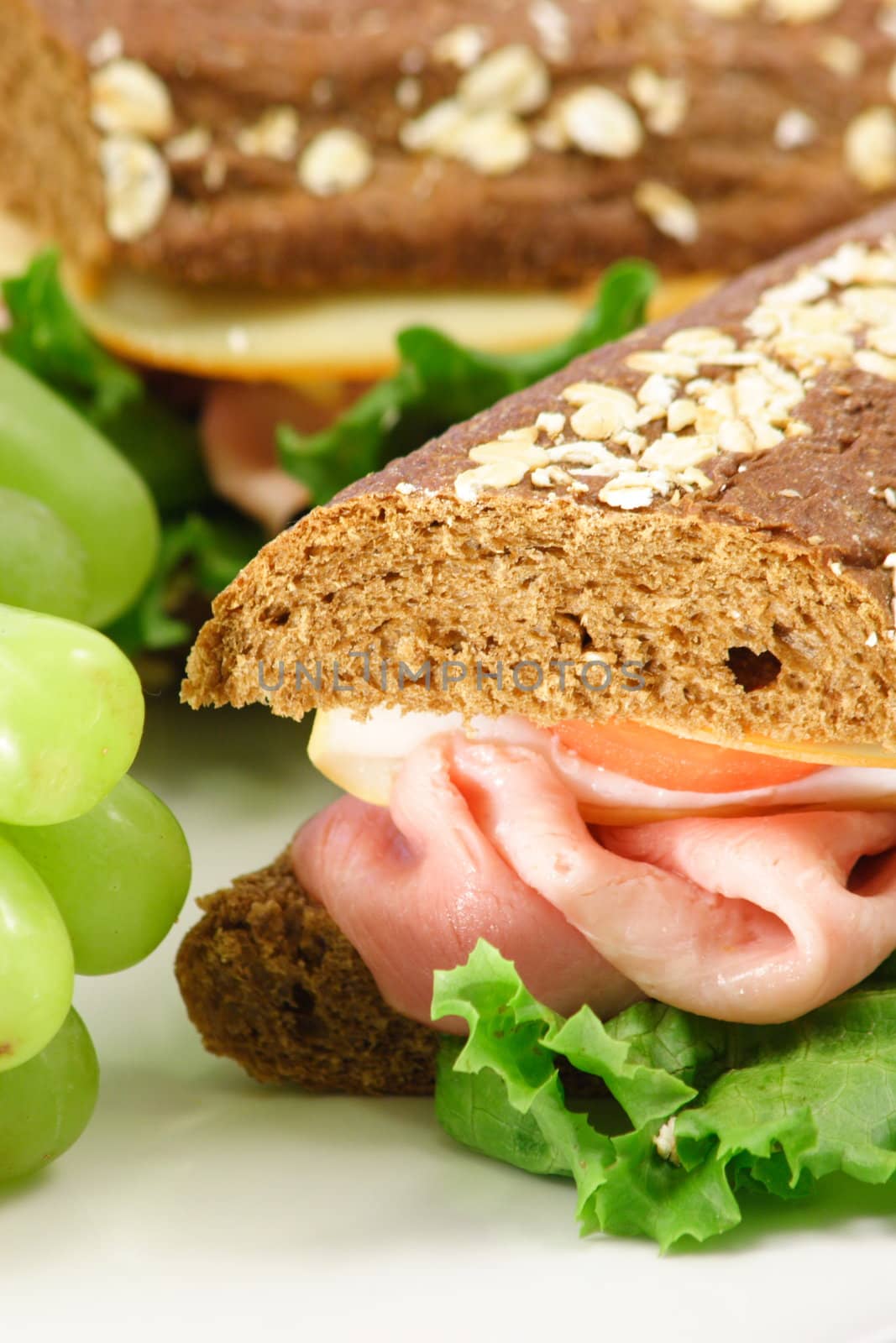 fresh organic sandwich by tacar