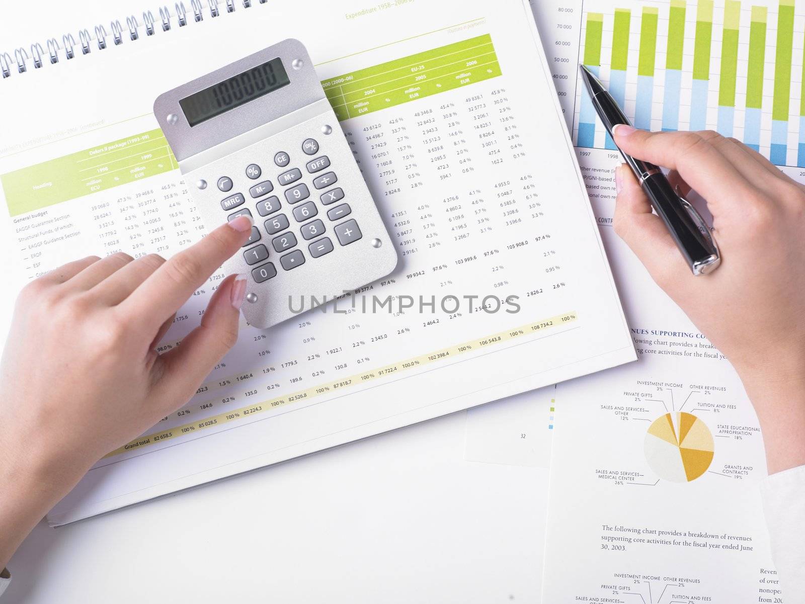 Business Data Analyzing