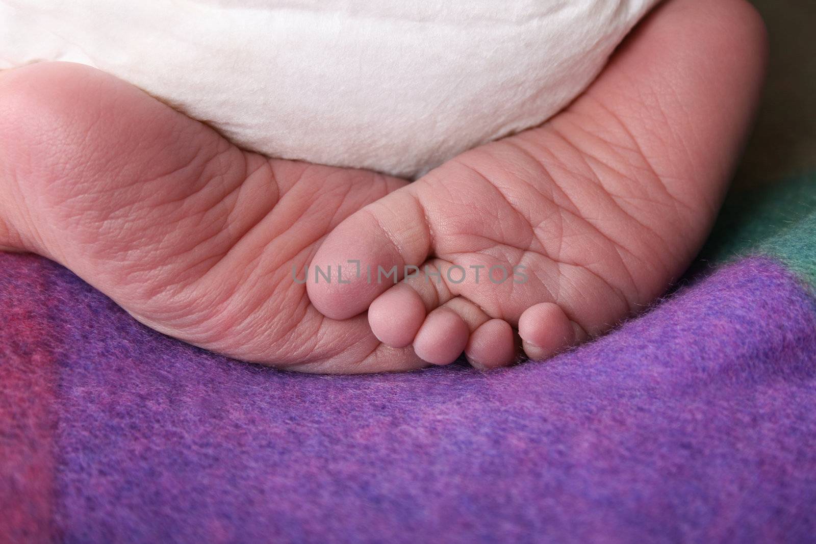 Curled up feet of a newborn baby