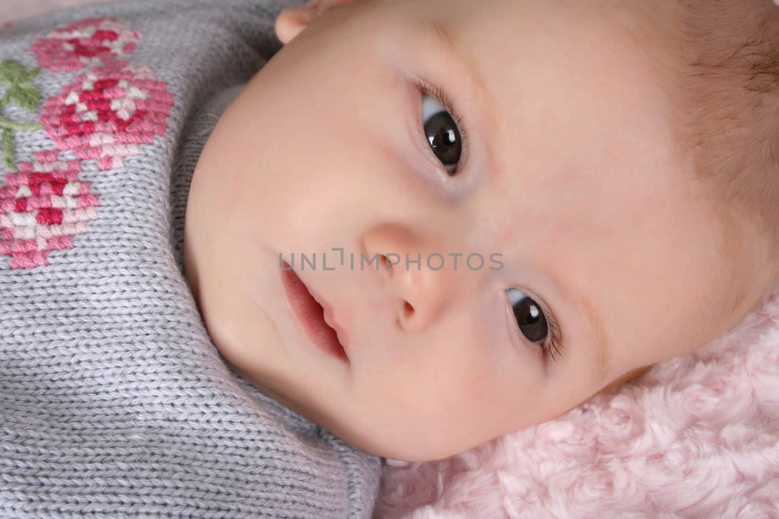 Beautiful baby girl on a pink blanket