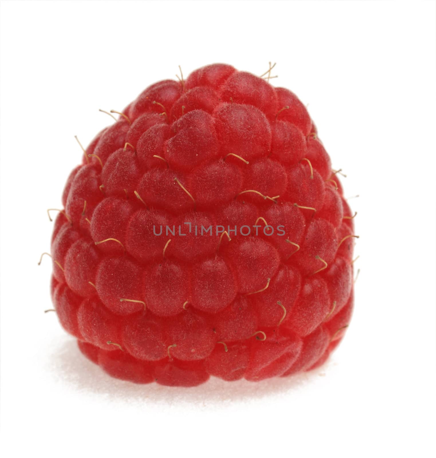 Macro shot of a raspberry photographed in a studio against a white background.