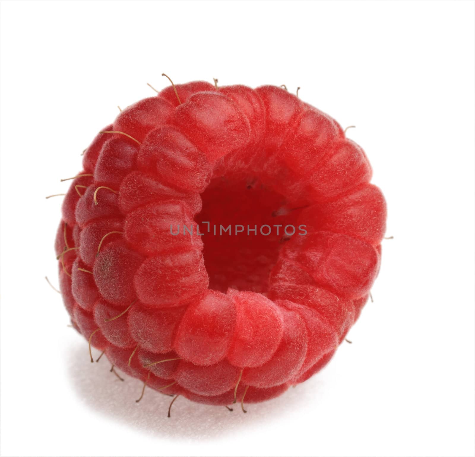 Macro shot of a raspberry photographed in a studio against a white background.