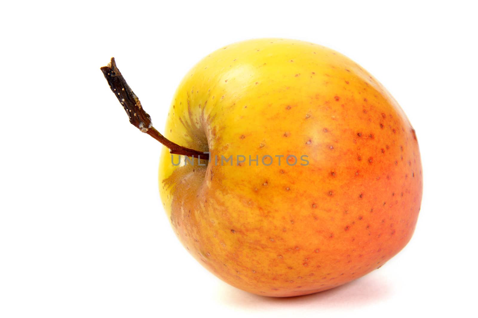The apple, isolated on a white background