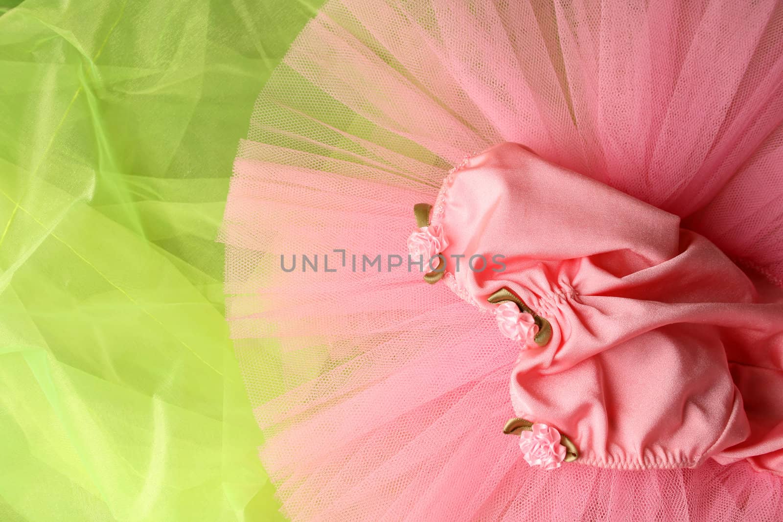 Pink Ballet Costume on a green background