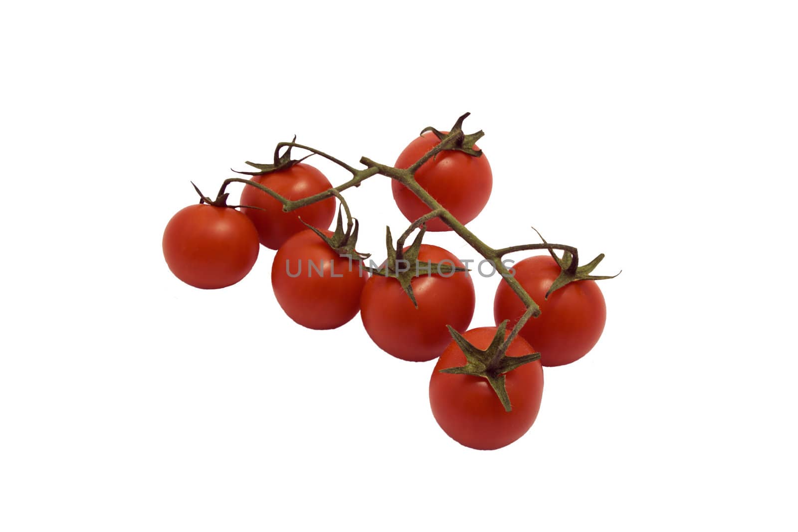 tomatoes on a branch, red and juicy, healthy food