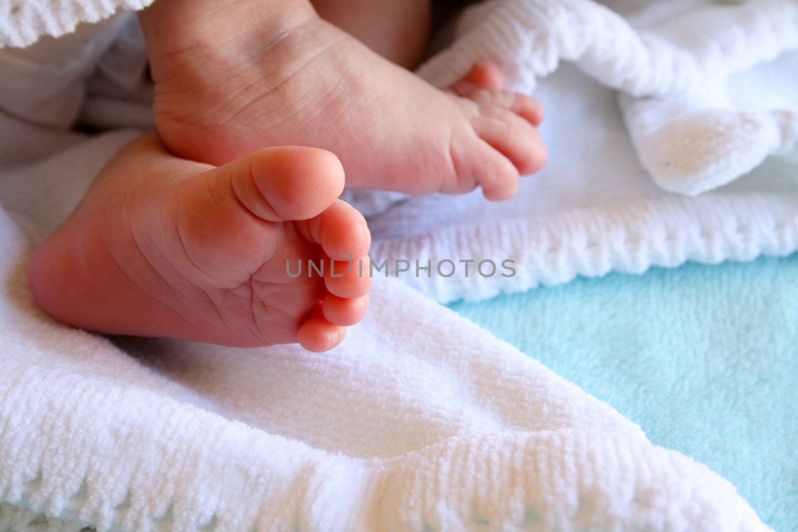 New Born Feet wrapped in a soft white blanket