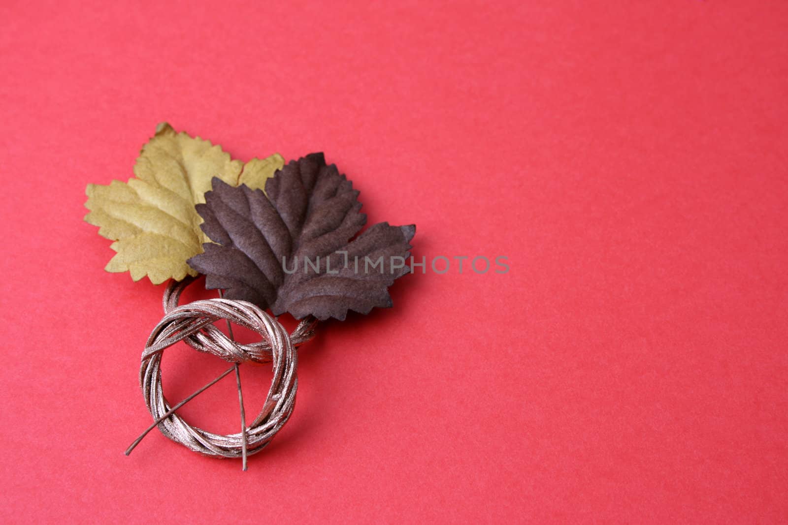 Autumn Leaves with copper sprayed woven rings