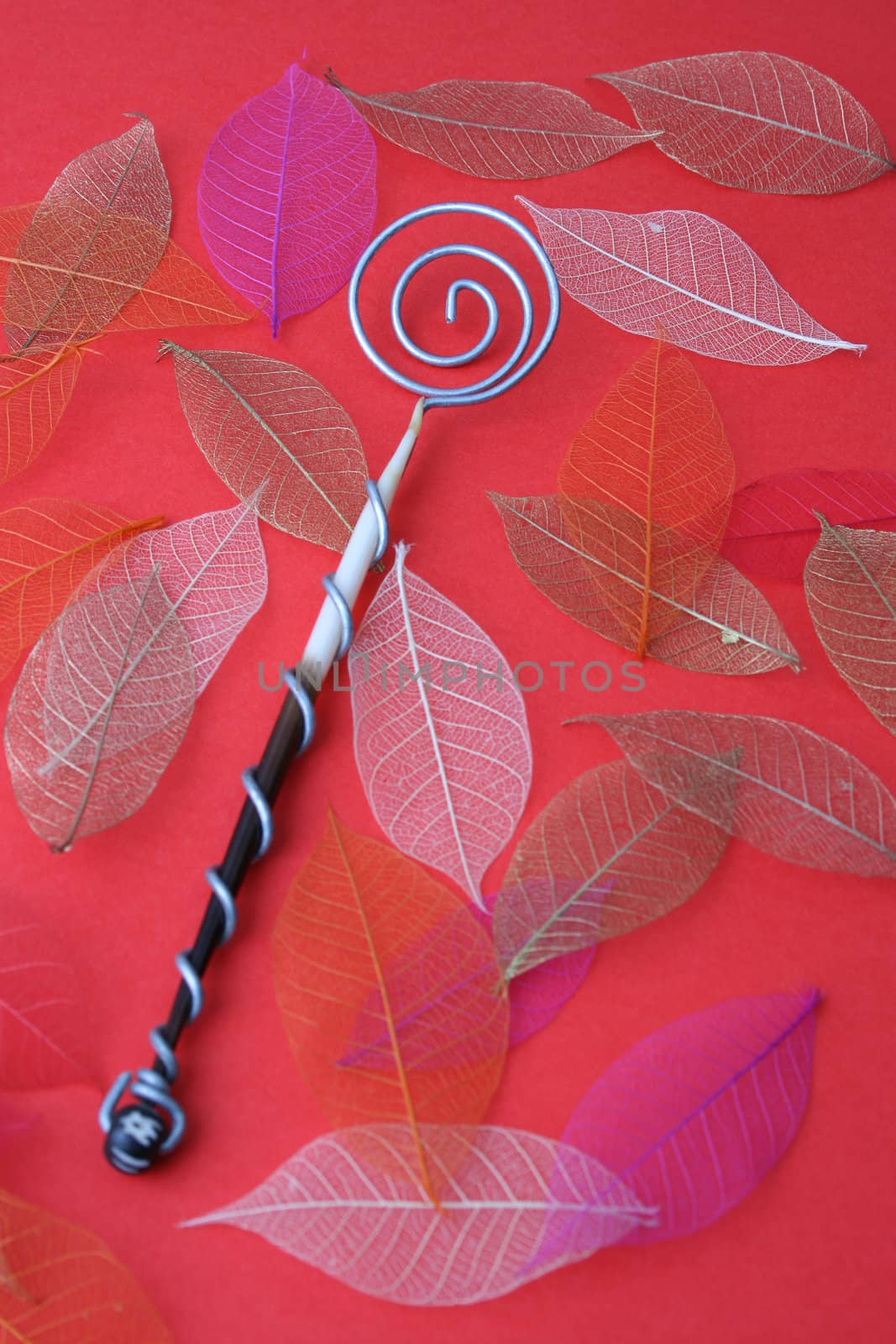 Hand Made Quill spoons on a red background
