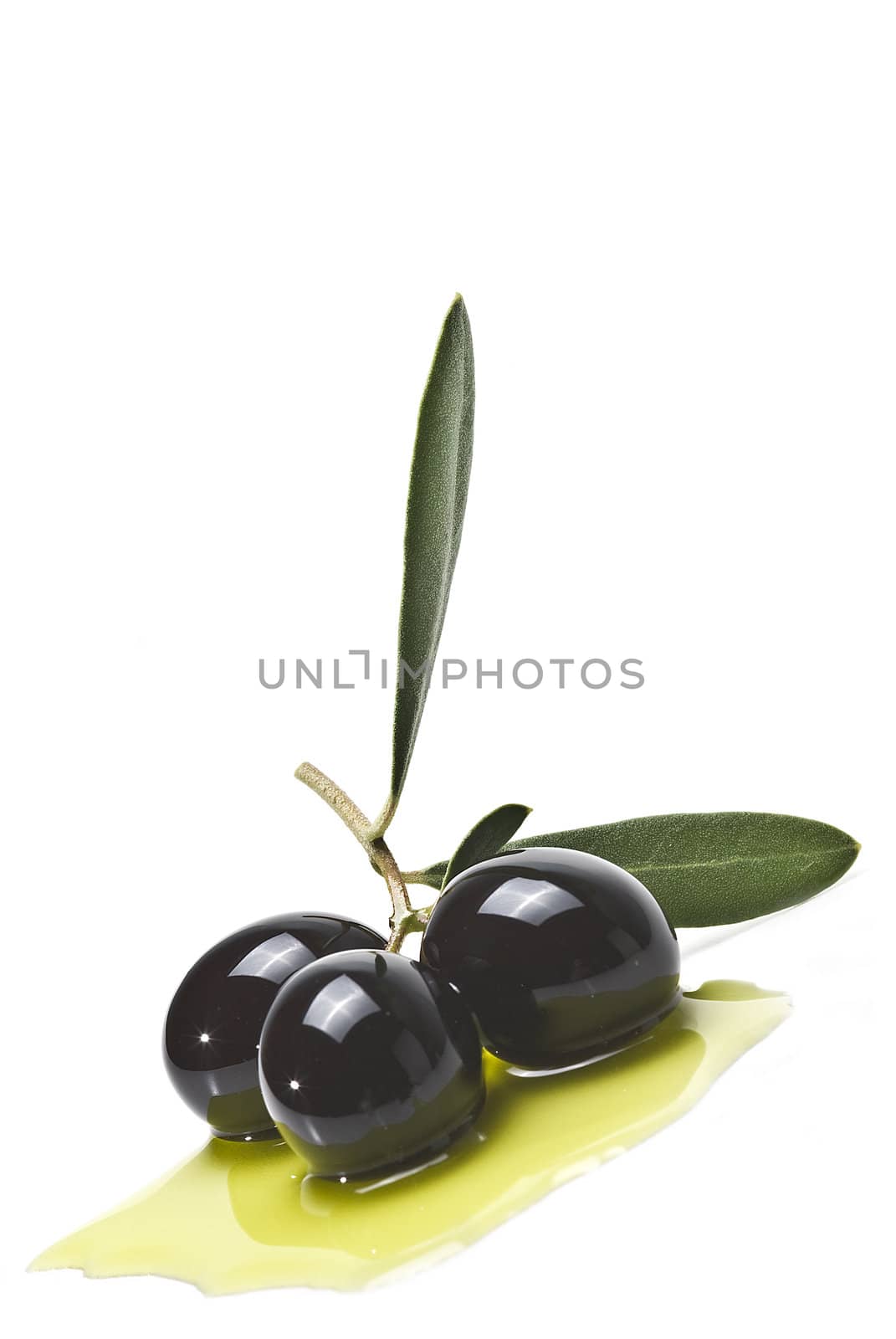 Premium black olives with leaves covered in olive oil and isolated over a white background.