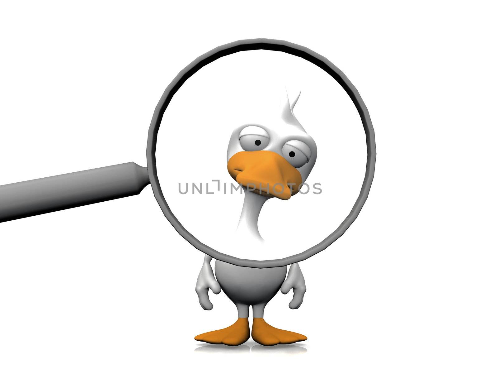 duck and the magnifying glass
