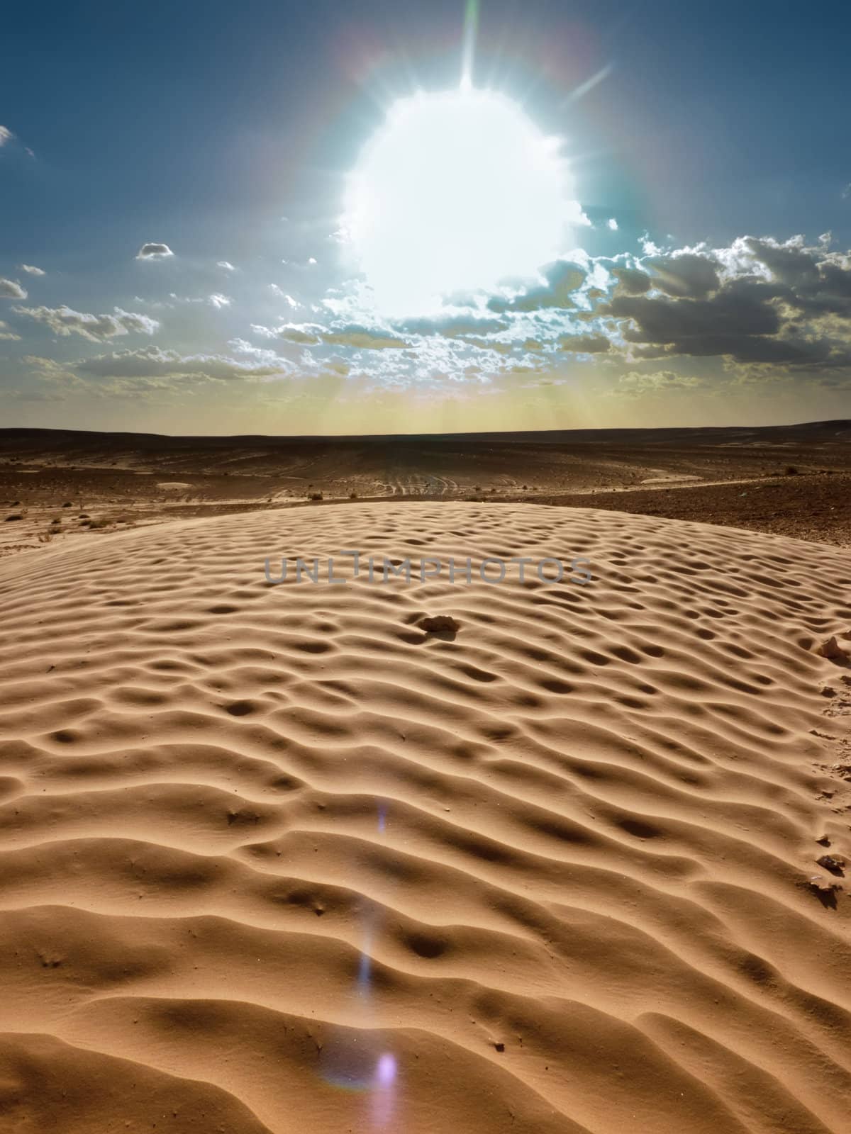 sand waves in the desert