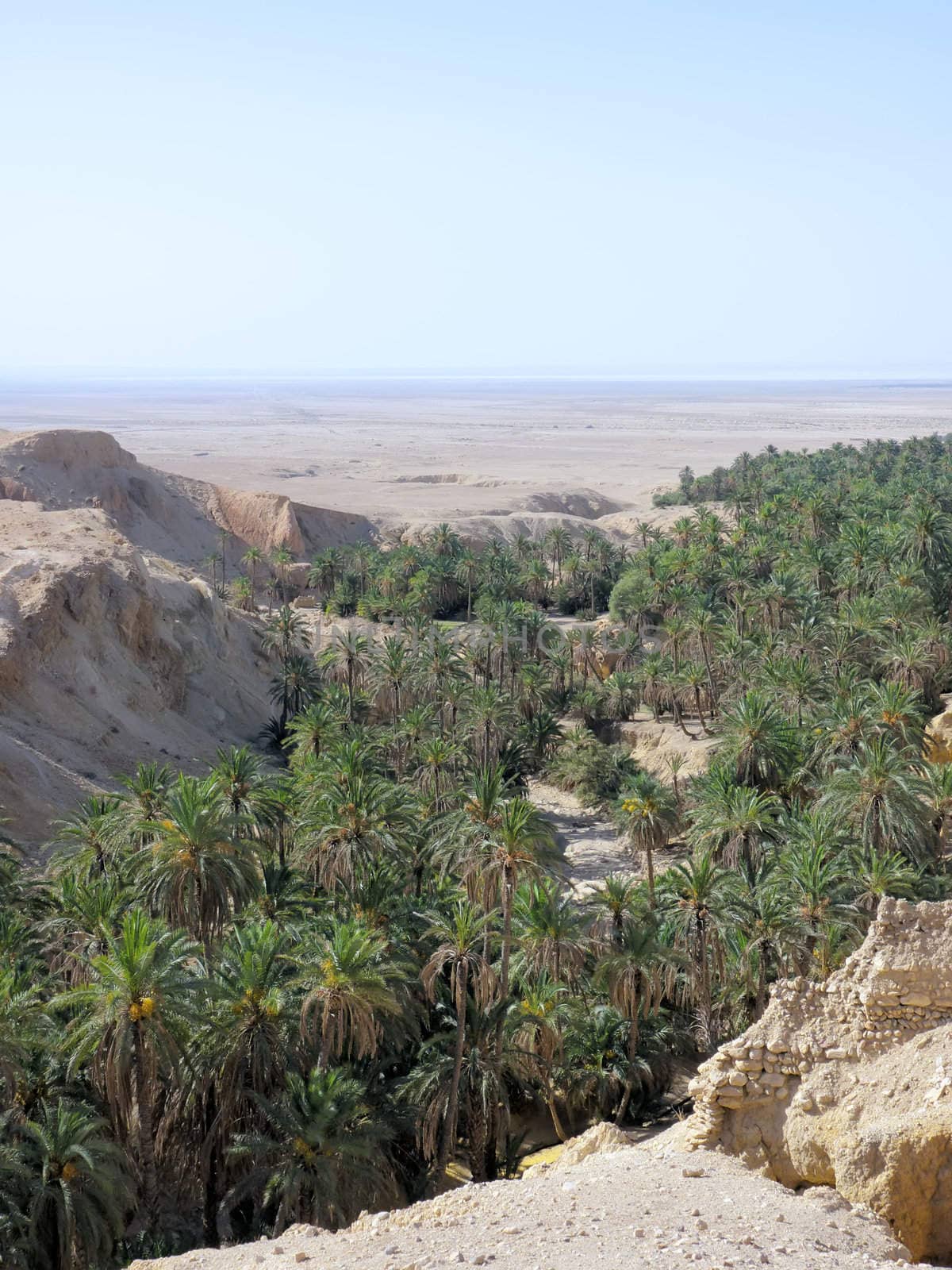 a  mountain oasis in Tunisia