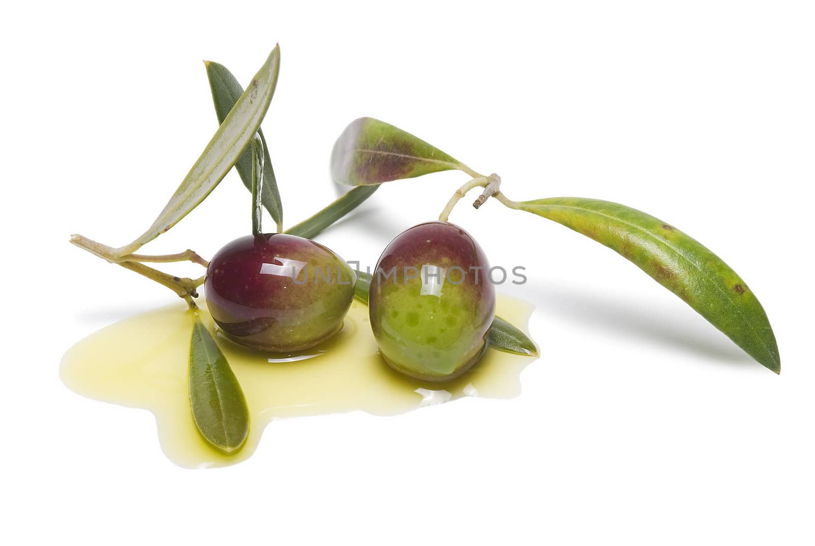 Green olives with leaves covered in olive oil and isolated over awhite background.