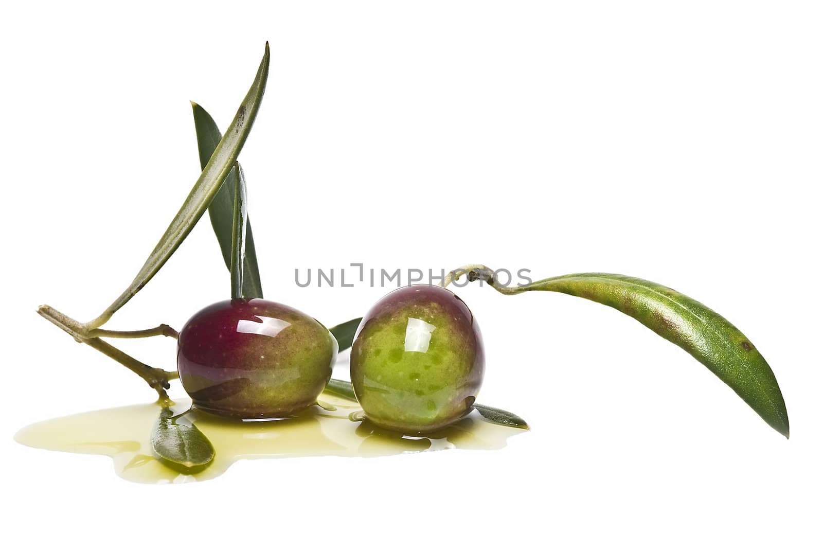 Green olives with leaves covered in olive oil and isolated over awhite background.