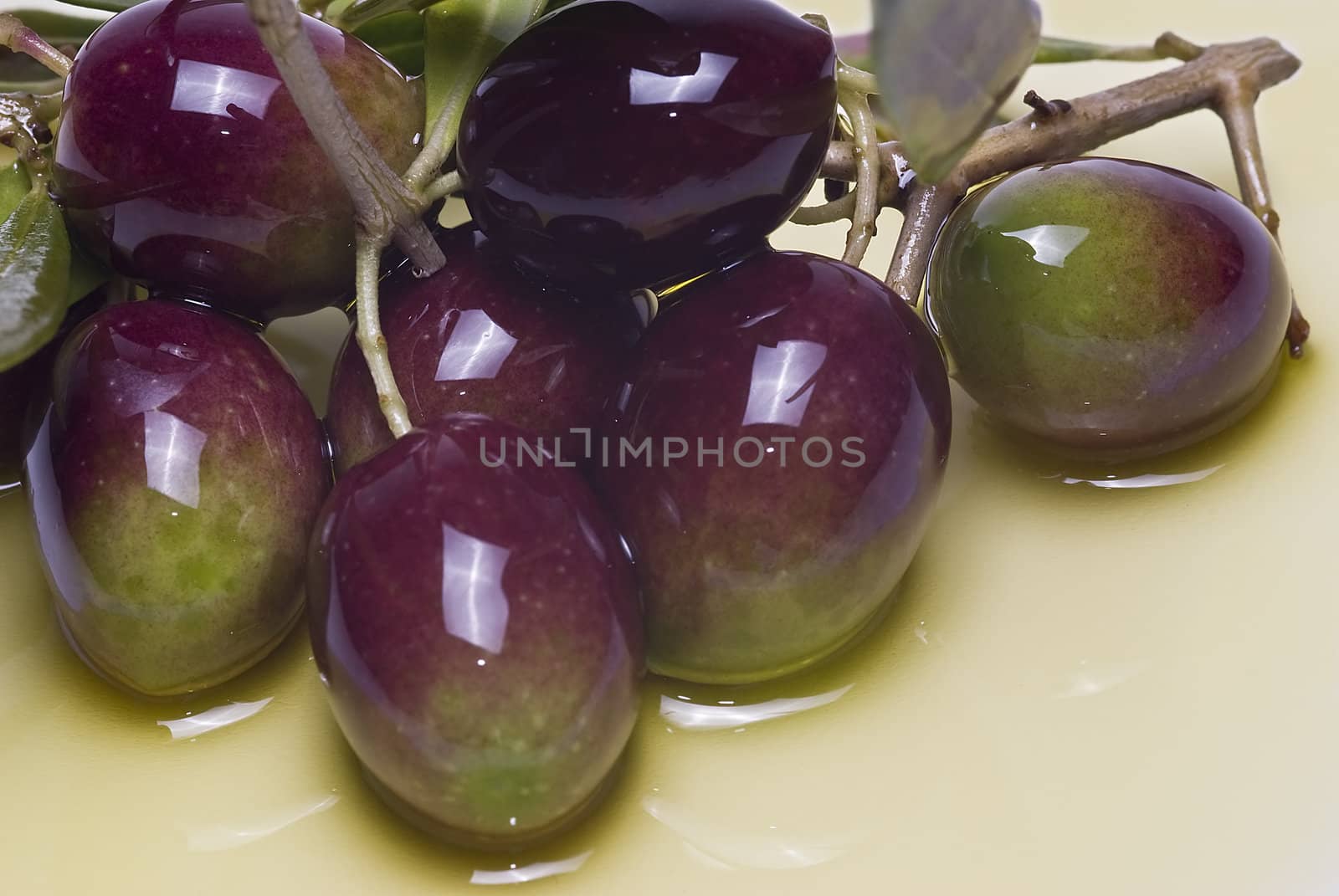 Green olives with leaves covered in olive oil and isolated over awhite background.