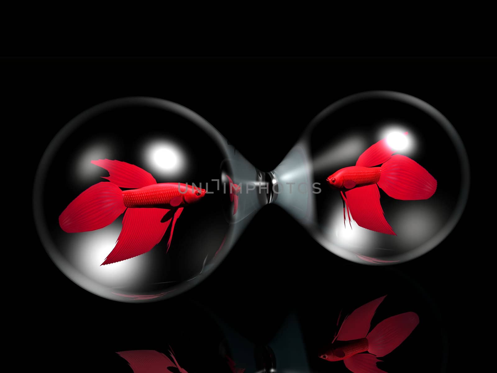 goldfishes  in bubbles