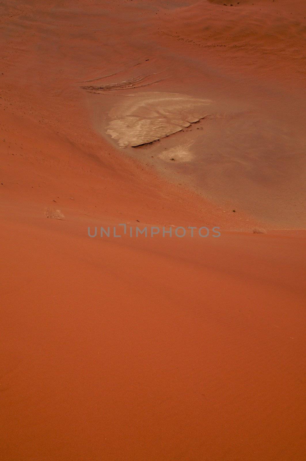 Dune sea of the Namib desert during a hot day
