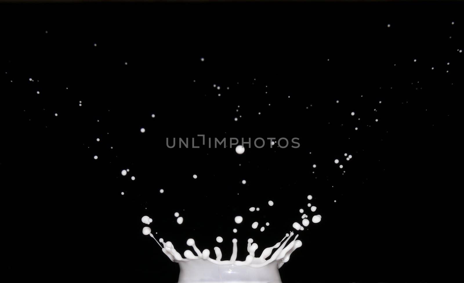 Crown-shaped splash of milk on black background