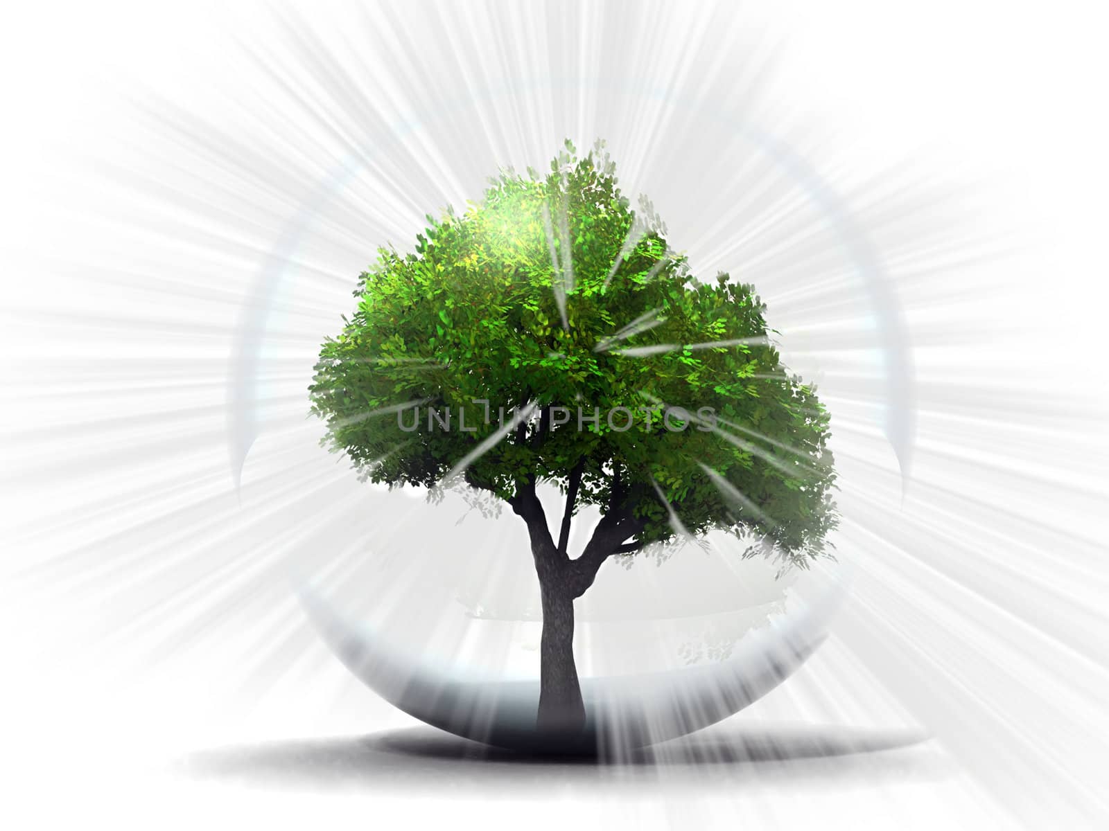 green tree in a bubble