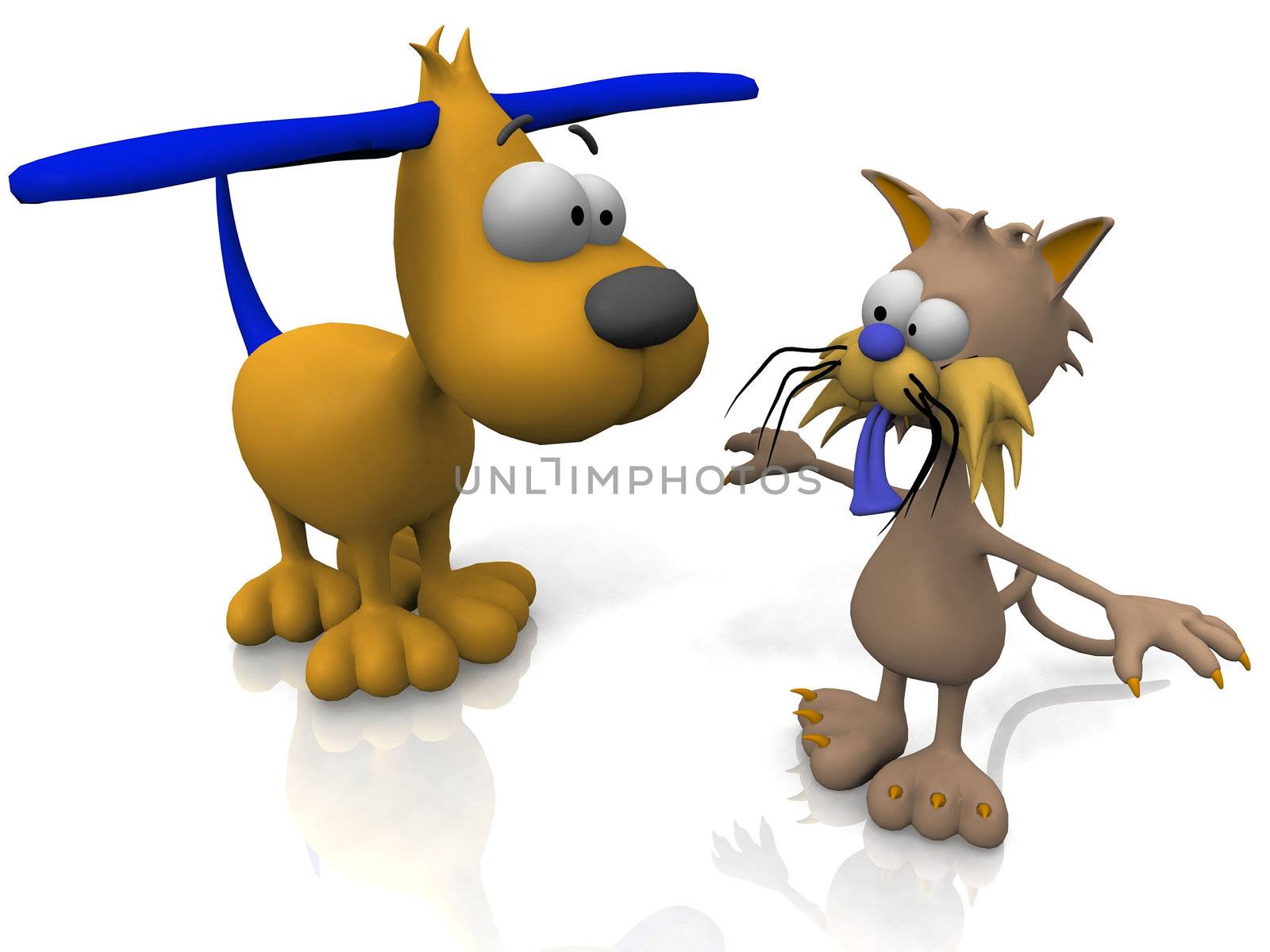 cat and dog on a white background
