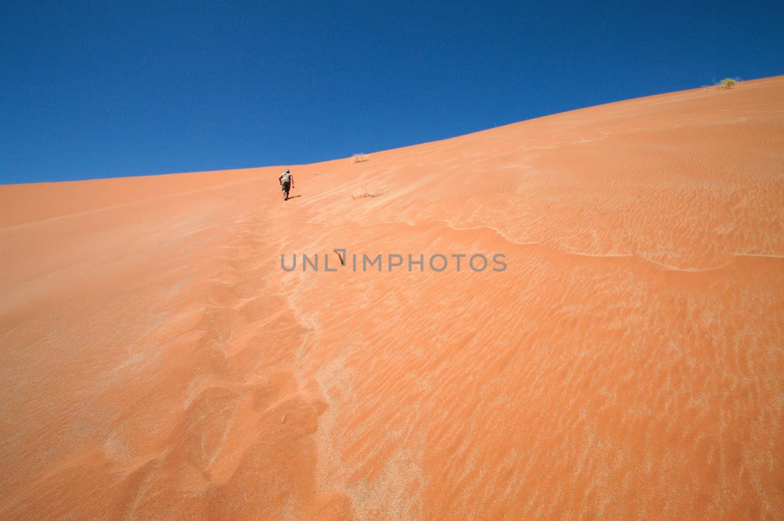 Man climbing the biggest dune in Sossusvlei