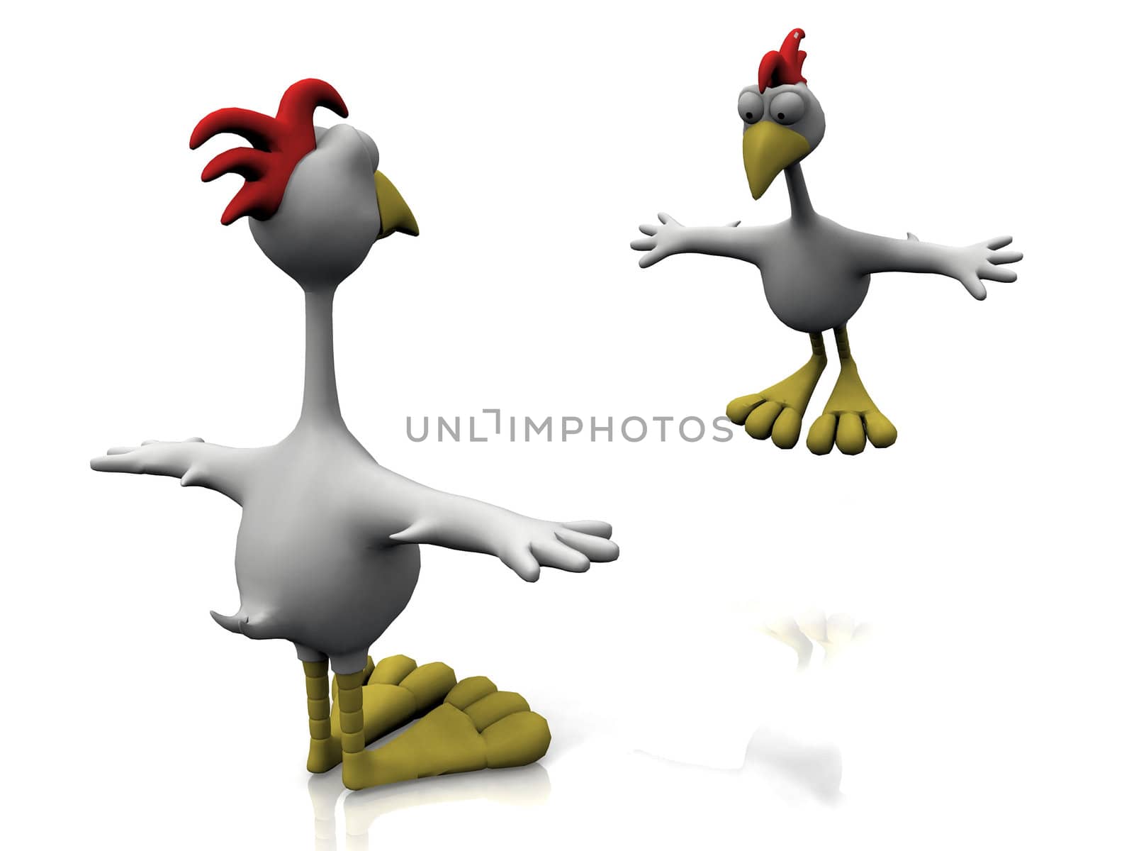 birds on a white background
