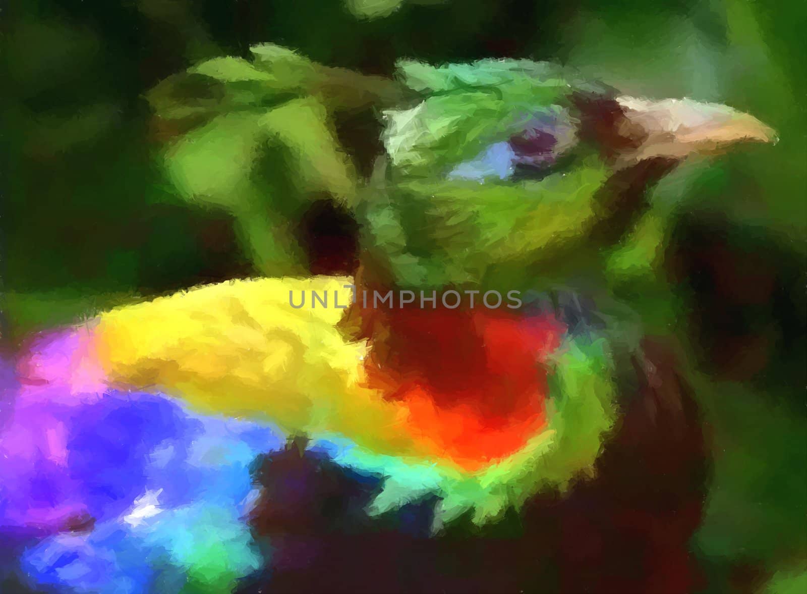 A spectacular bird with all the colors of the rainbow.
