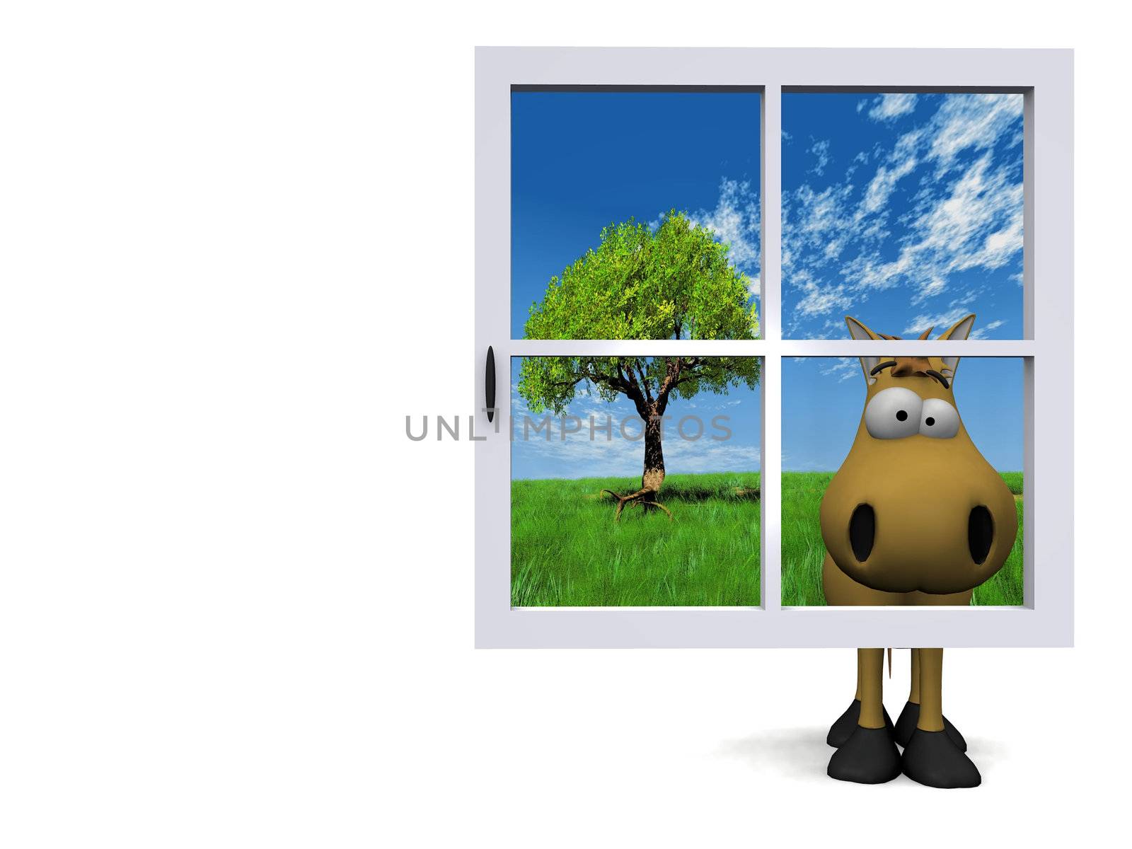 horse behind the blue window
