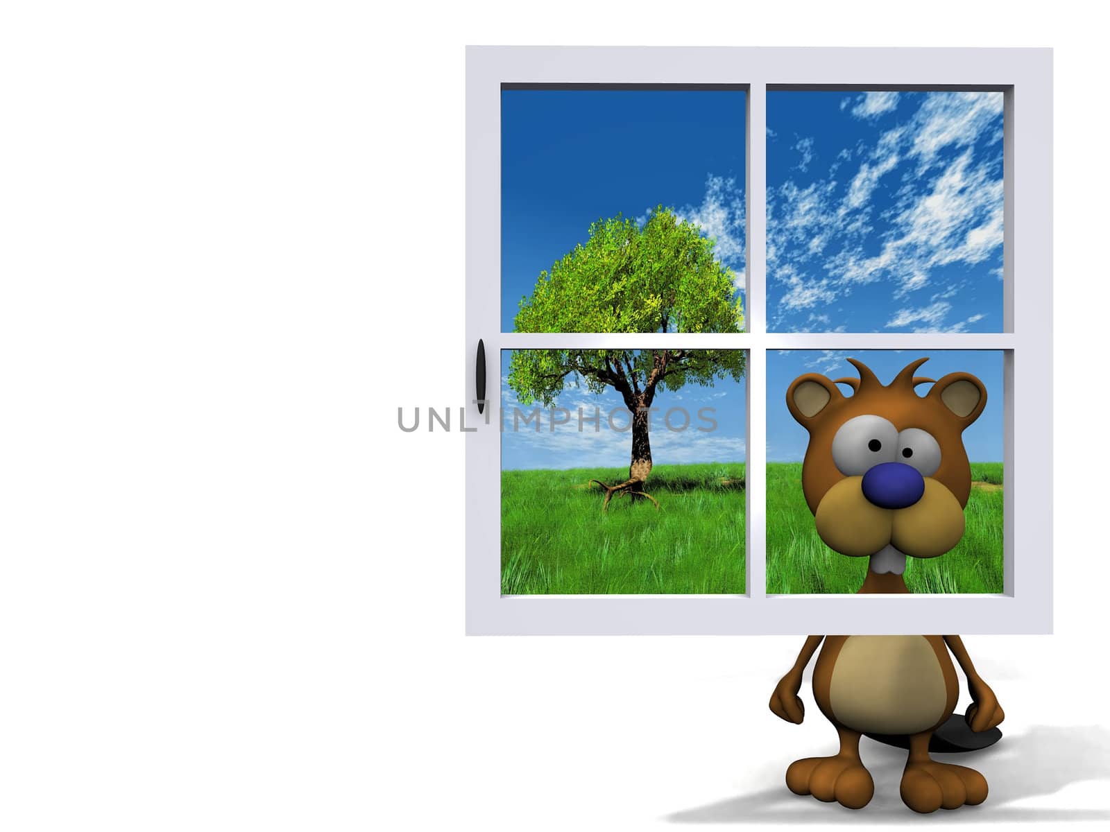 beaver behind the blue window

