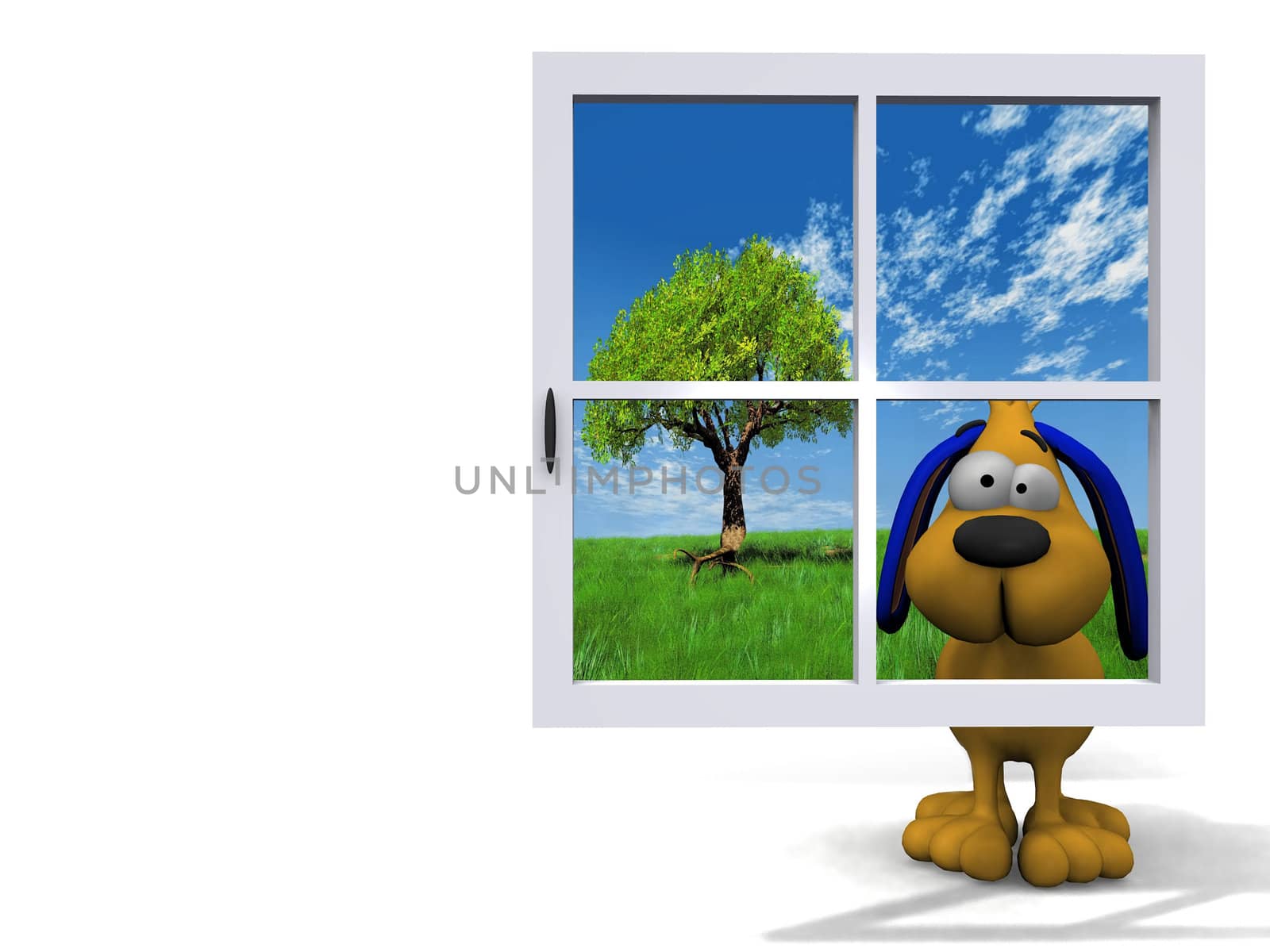 dog behind the blue window
