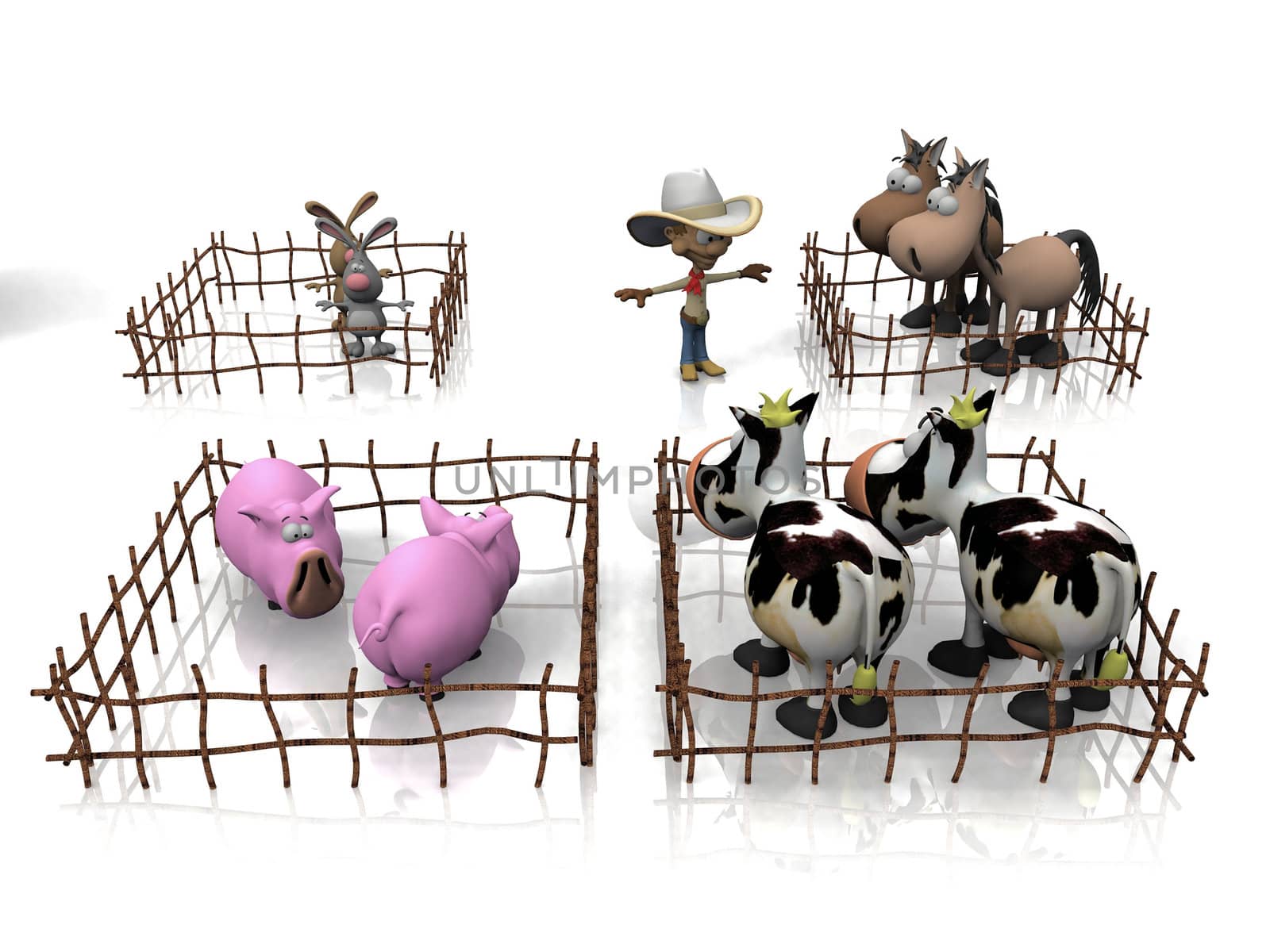 breeding of pigs, cows,  horses and rabbits