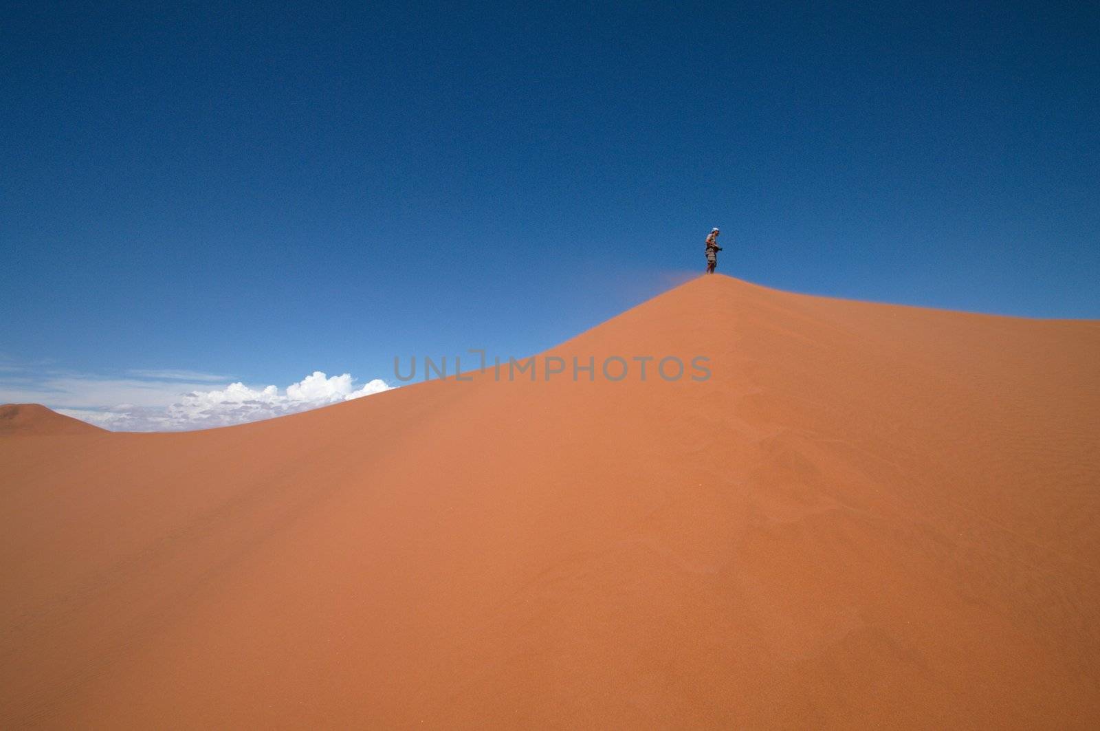 Dune sea of the Namib desert during a hot day
