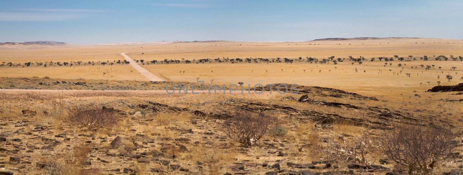 Namib Desert  by watchtheworld